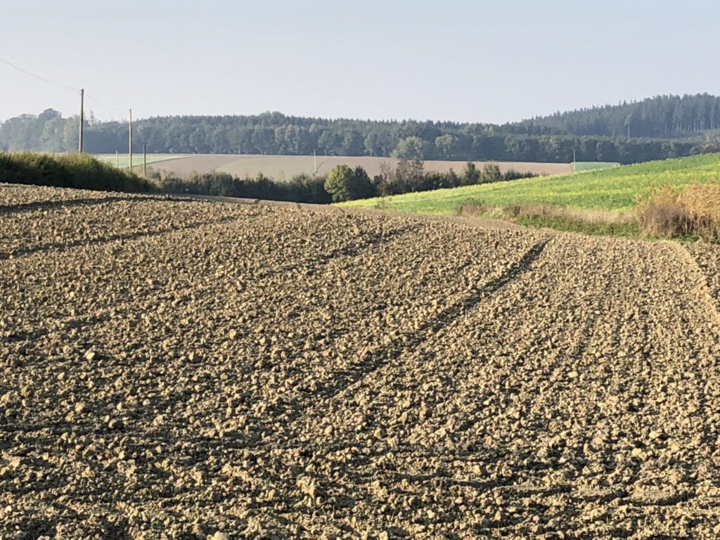 Landwirtschaftlicher Grund gesucht!