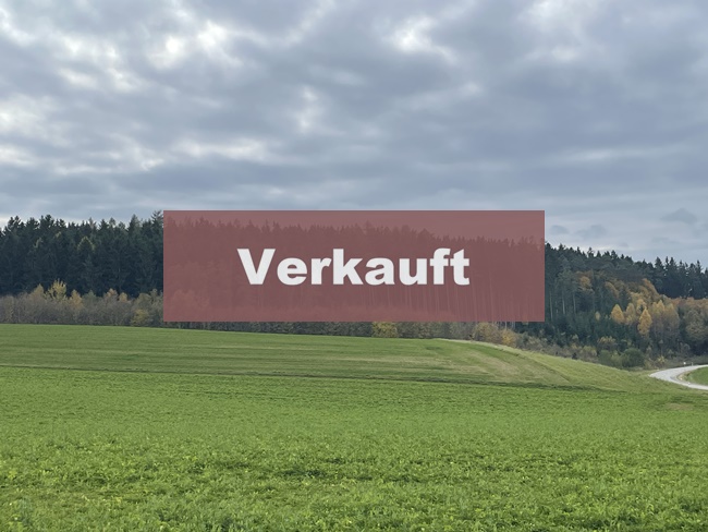 36.000 m² - Große Waldfläche zu verkaufen