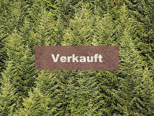 ... Nähe Geisenhausen