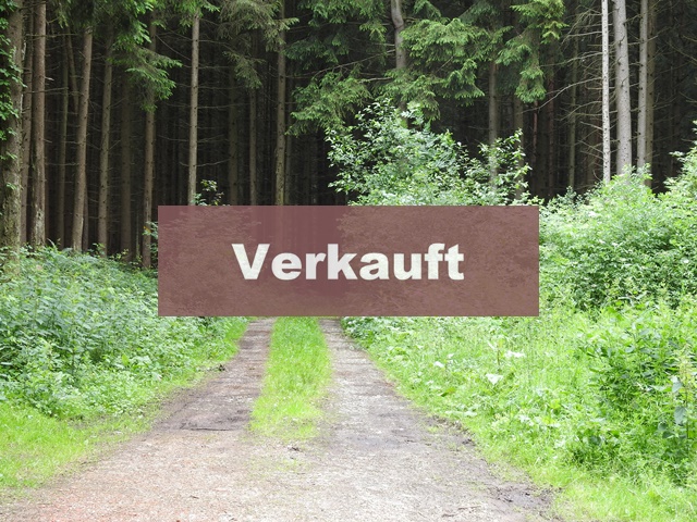 3.645 m² Waldfläche Nähe Wörnstorf