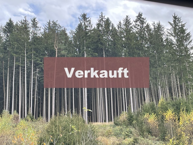 3,7474 ha Waldfläche mit guter Zufahrt