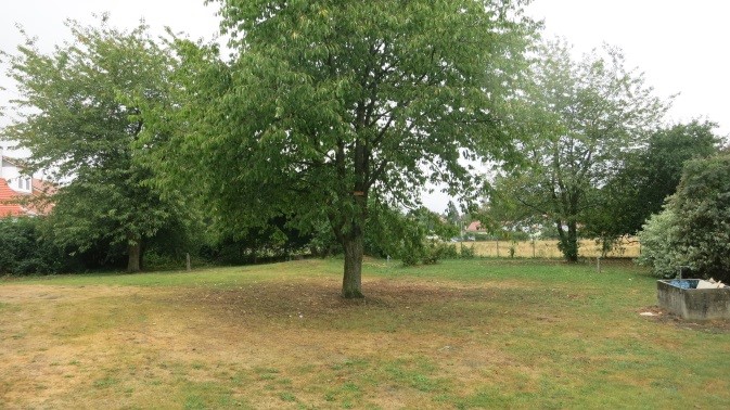 ... in Adlkofen