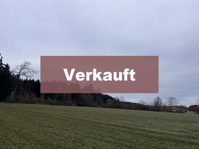 8,6 ha Waldfläche bei Dasching zu verkaufen