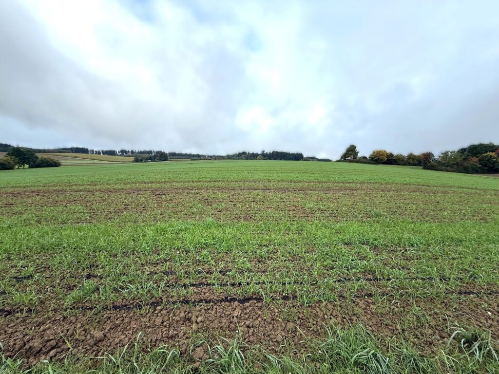 ...Gemarkung Ohu/Oberwattenbach