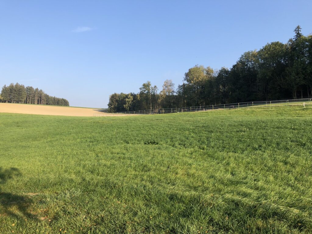 Gesucht: Landwirtschaftlicher Grund für vorgemerkten Kunden